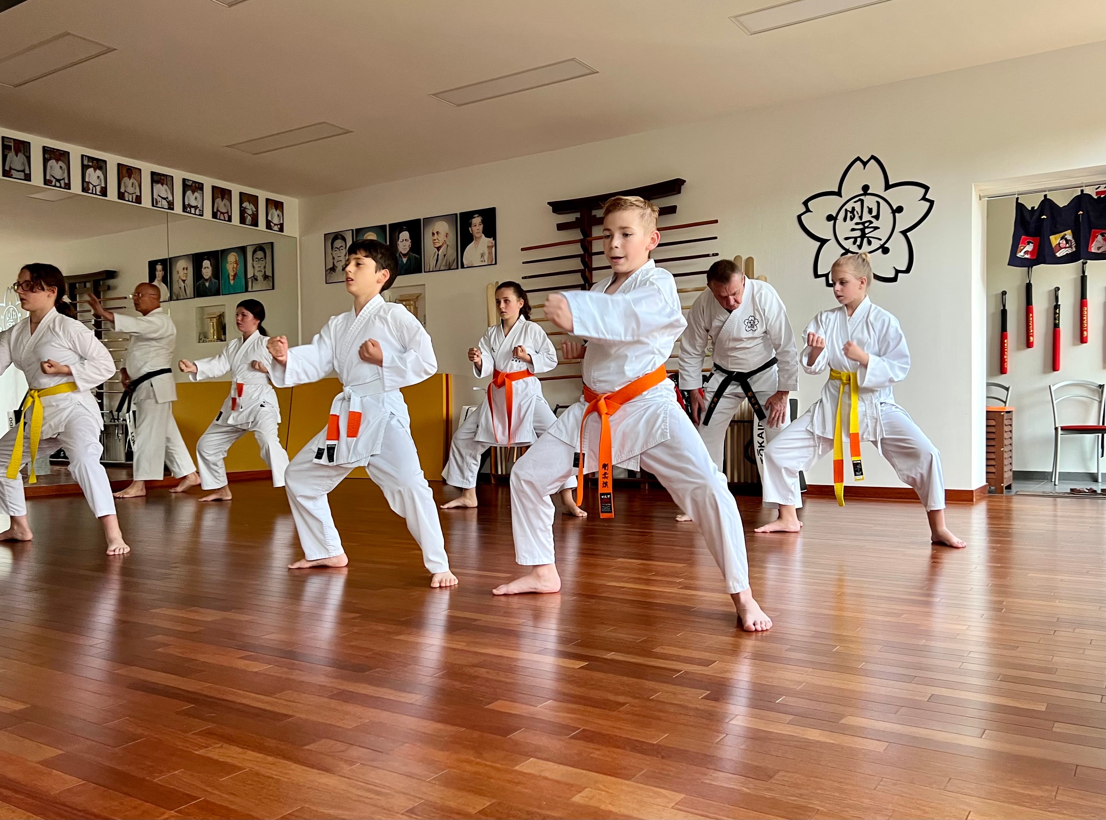 Deti v dojo